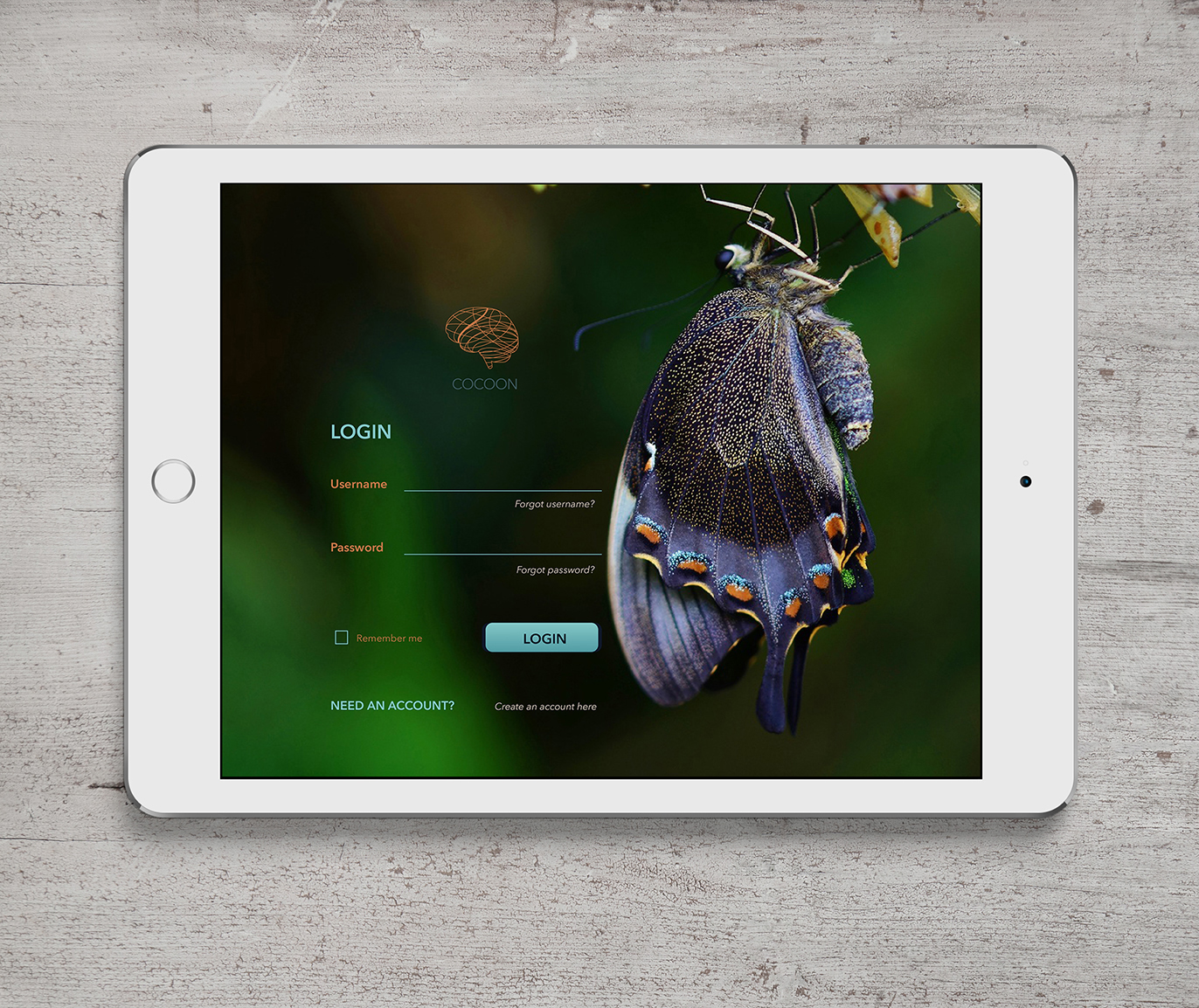 Cocoon messageboard login screen ipad view