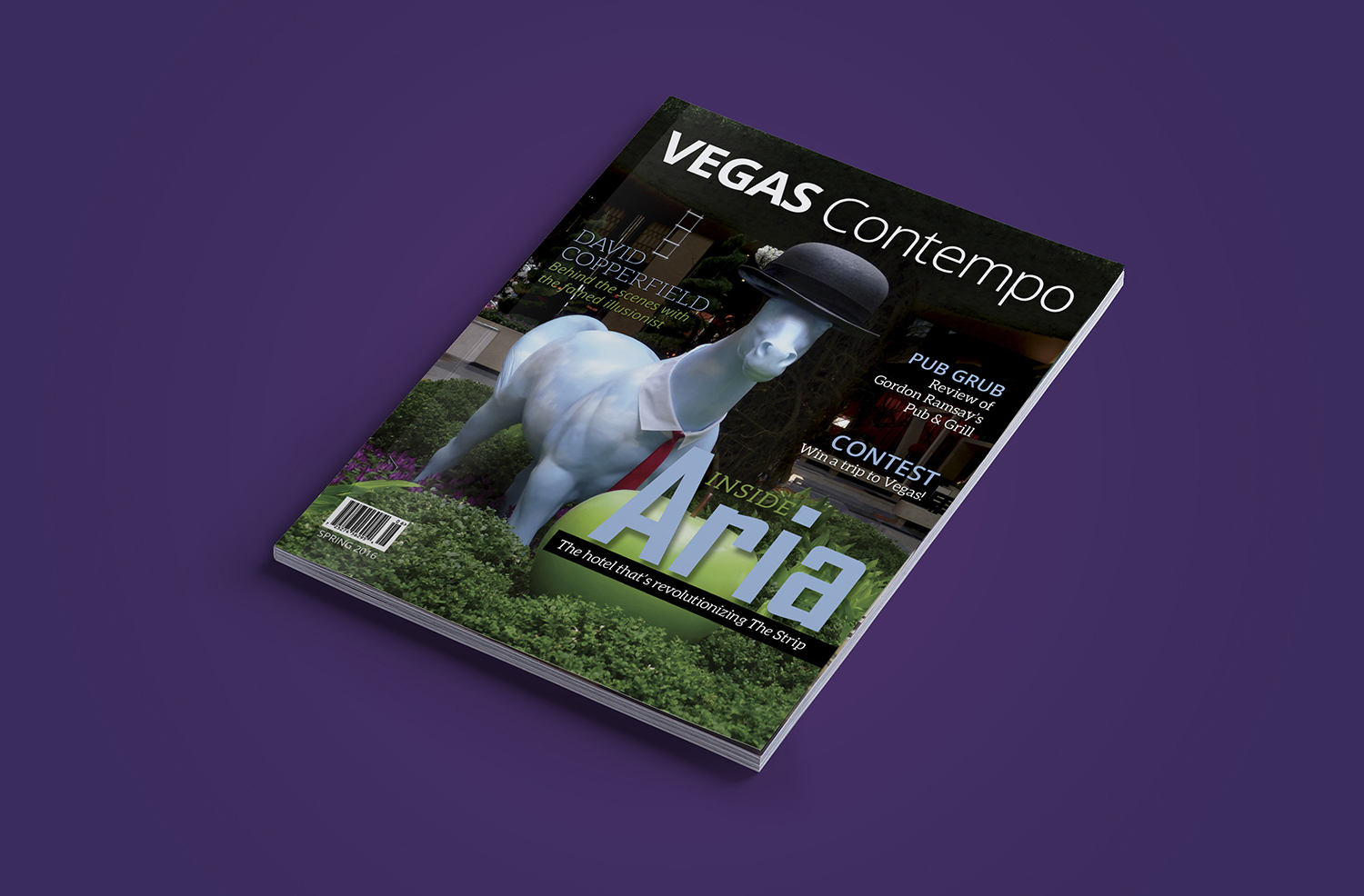 Vegas Contempo Magazine Cover