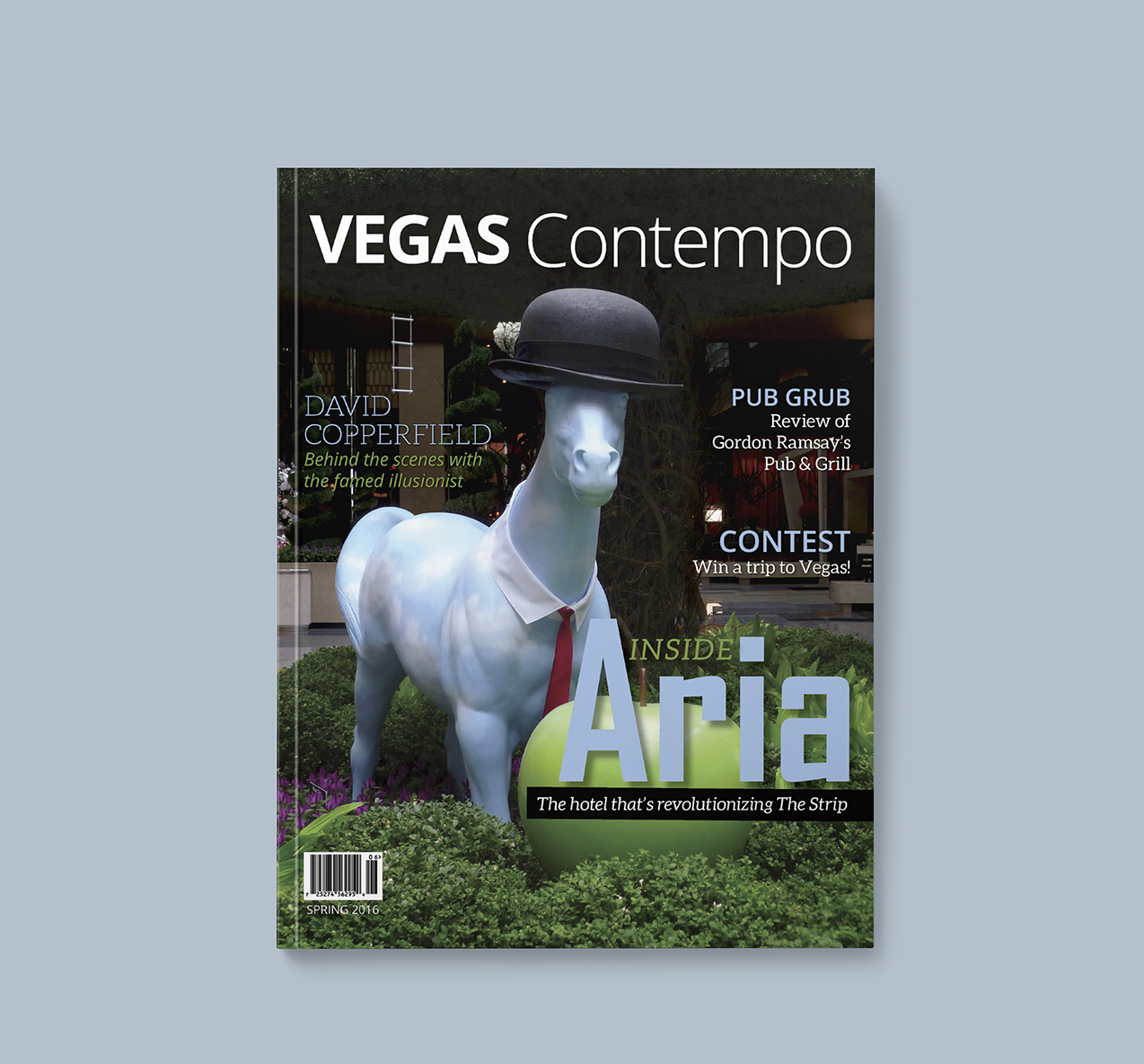 Vegas Contempo Magazine Cover